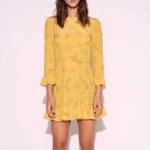 The Mary Jane Sunflower